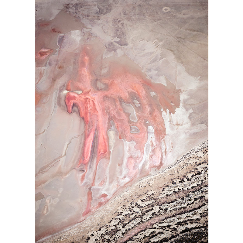 ty-stedman-pegasus-in-pink-fine-art-image-australia-800w