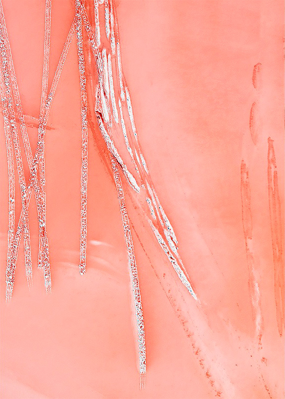 pink-artwork-australia-cascade-on-coral-ty-stedman-0823