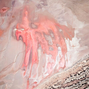 'Pegasus in Pink'